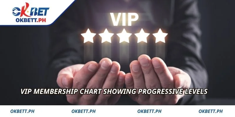 VIP membership chart showing progressive levels
