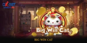 Big Win Cat