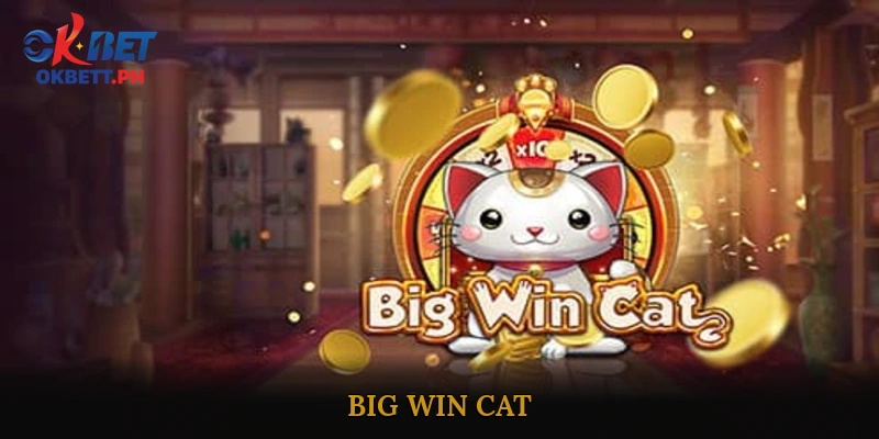 Big Win Cat
