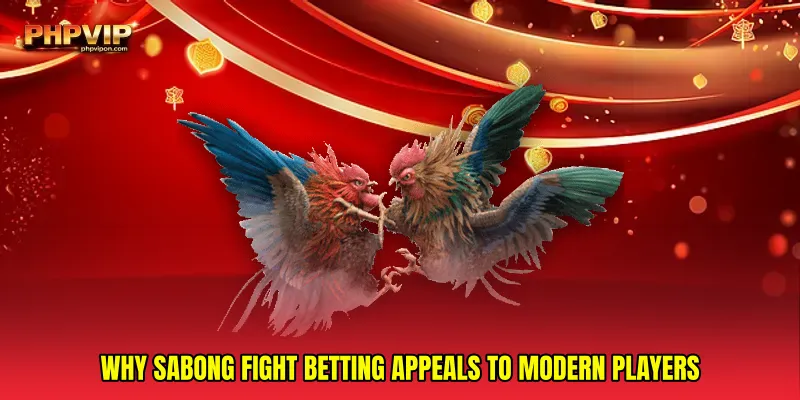 Why Sabong Fight Betting Appeals to Modern Players